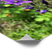 Wilde bloemen op het spoor, Oregon Poster (Hoek)