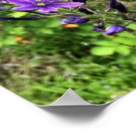 Wilde bloemen op het spoor, Oregon Poster (Hoek)