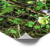 Wilde bloemen op het spoor, Oregon Poster (Hoek)