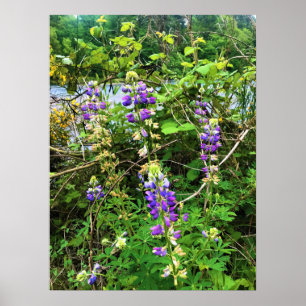 Wilde bloemen op het spoor, Oregon Poster