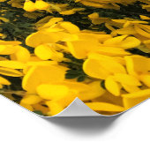 Wilde bloemen op het spoor, Oregon Poster (Hoek)
