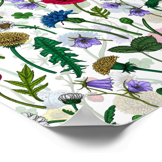 Wilde bloemen op wit poster (Hoek)