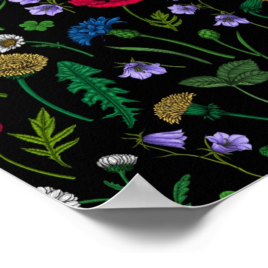 Wilde bloemen op zwart poster (Hoek)