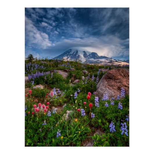 Wilde bloemen perfect poster (Voorkant)