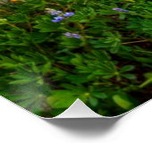 Wilde bloemen perfect poster (Hoek)