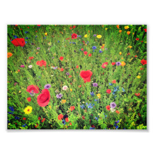 Wilde bloemen Photo Professional Paper (Satijn) Foto Afdruk