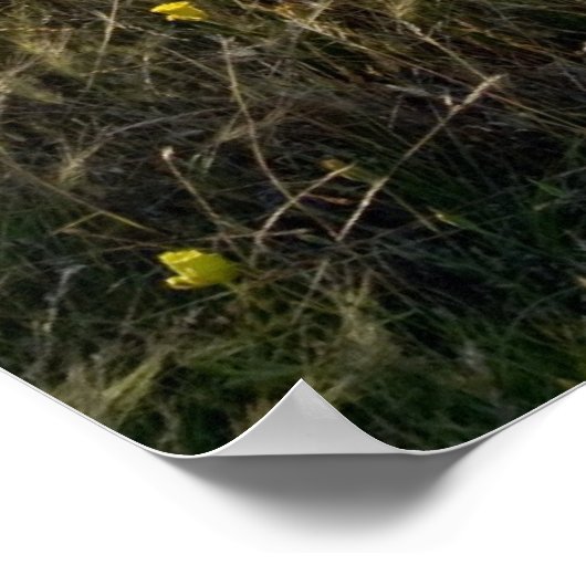 Wilde bloemen poster (Hoek)