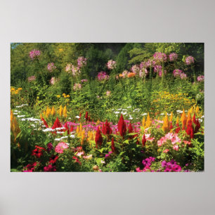 Wilde Bloemen Poster