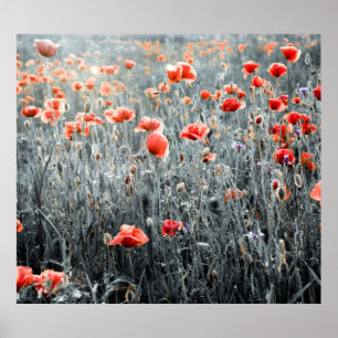 Wilde bloemen poster