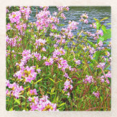 Wilde bloemen, rivier, roze,  bloem glazen onderzetter (Voorkant)