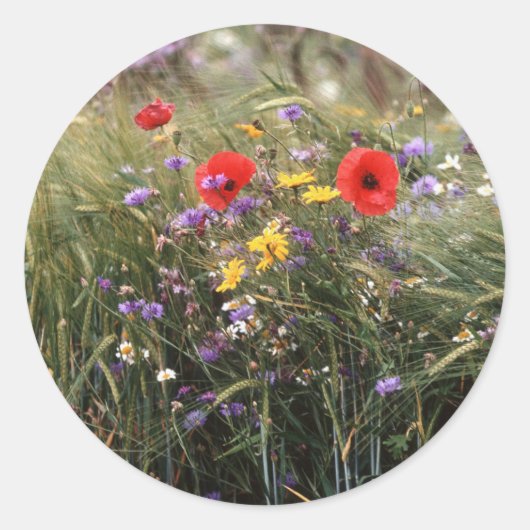 Wilde bloemen ronde sticker (Voorkant)