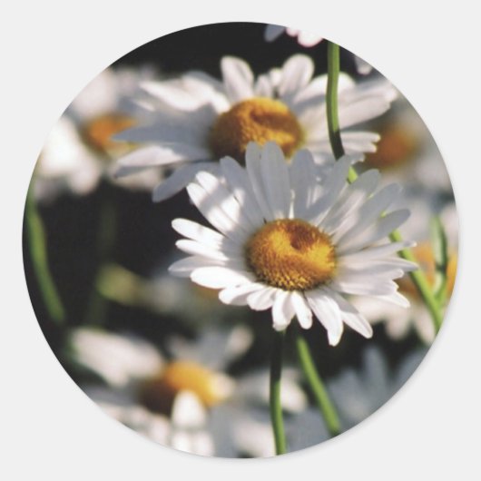 Wilde bloemen Sticker (Voorkant)