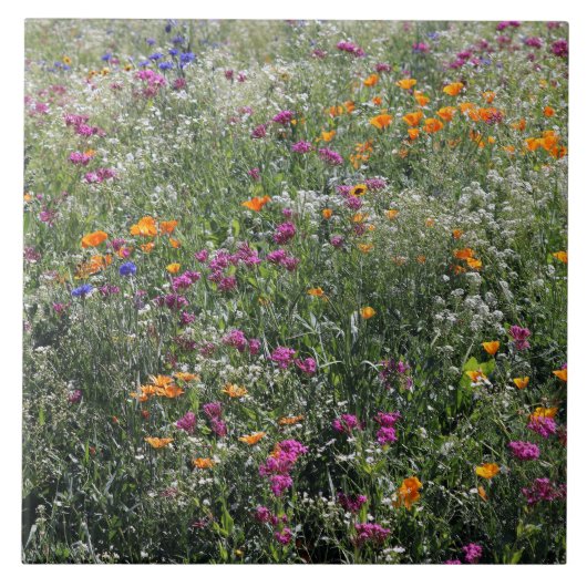 Wilde bloemen Tegel Grote 6 x 6 inch Tegeltje (Voorkant)