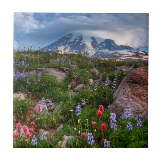 Wilde bloemen tegeltje (Voorkant)