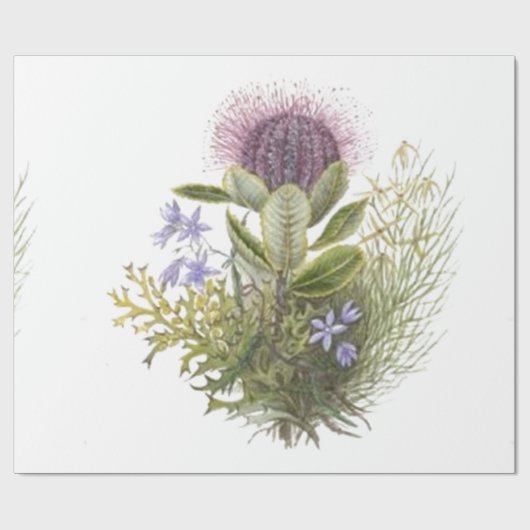  wilde bloemen Thistle Cadeaupapier (Vlak)