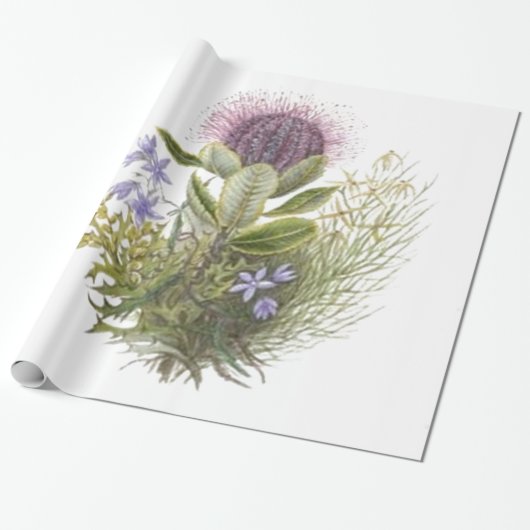  wilde bloemen Thistle Cadeaupapier (Uitgerold)