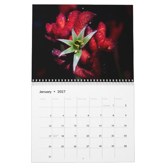 Wilde bloemen uit Australië Kalender (Jan 2027)