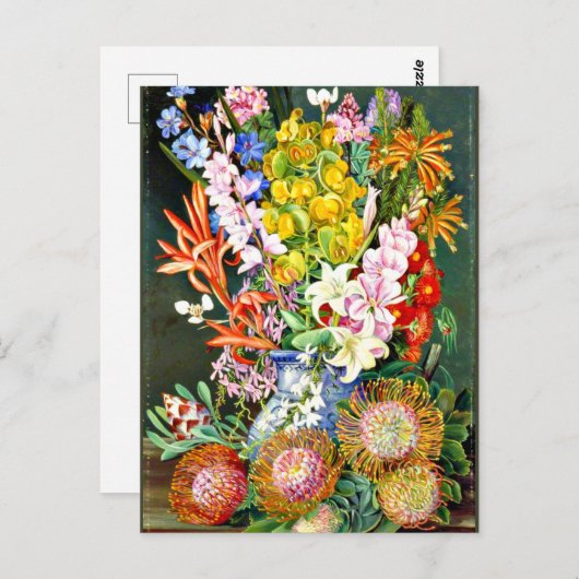 Wilde bloemen van Ceres, Zuid-Afrika Briefkaart (Voorkant / Achterkant)