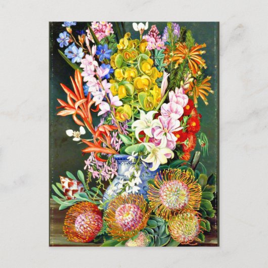 Wilde bloemen van Ceres, Zuid-Afrika Briefkaart (Voorkant)