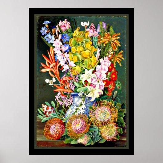Wilde bloemen van Ceres, Zuid-Afrika Poster (Voorkant)