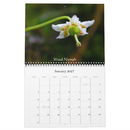 Wilde bloemen van gebrande boter kalender (Jan 2027)