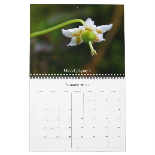 Wilde bloemen van gebrande boter kalender (Jan 2026)