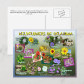 wilde bloemen van het briefkaart van Oklahoma 19r (Voorkant / Achterkant)