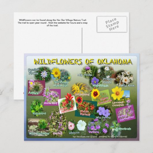 wilde bloemen van het briefkaart van Oklahoma 19r (Voorkant / Achterkant)