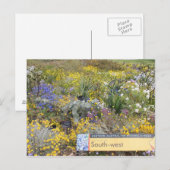 Wilde bloemen van het Briefkaart Western Australië (Voorkant / Achterkant)