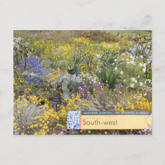 Wilde bloemen van het Briefkaart Western Australië