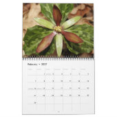 Wilde bloemen, van het Ocmulgee Trail Kalender (Feb 2027)