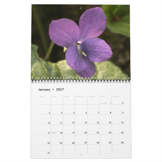 Wilde bloemen, van het Ocmulgee Trail Kalender (Jan 2027)
