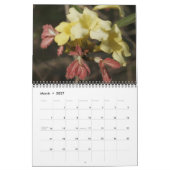 Wilde bloemen, van het Ocmulgee Trail Kalender (Mar 2027)