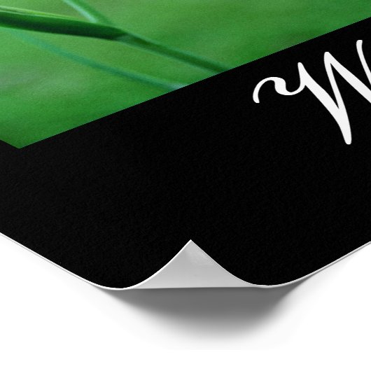 Wilde bloemen van Louisiana Poster (Hoek)