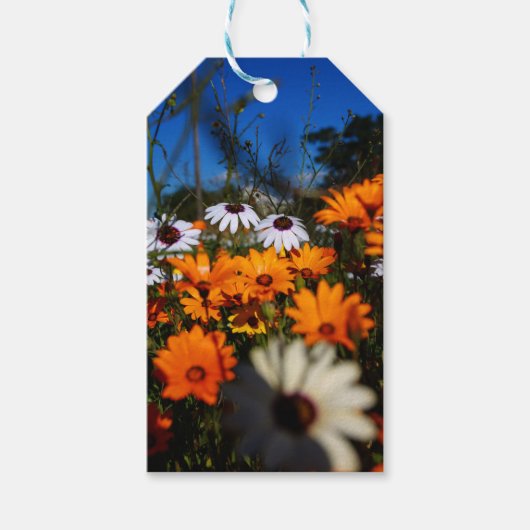 Wilde bloemen van Namaqualand Cadeaulabel (Voorkant)