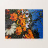 Wilde bloemen van Namaqualand Legpuzzel (Horizontaal)