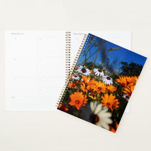 Wilde bloemen van Namaqualand Planner (Display)