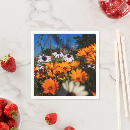 Wilde bloemen van Namaqualand Servet (Insitu)