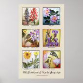 Wilde bloemen van Noord-Amerika [A] Poster (Voorkant)