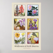 Wilde bloemen van Noord-Amerika [A] Poster (Voorkant)