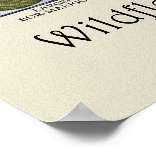 Wilde bloemen van Noord-Amerika [A] Poster (Hoek)