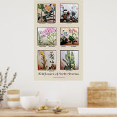 Wilde bloemen van Noord-Amerika [C] Poster (Keuken)