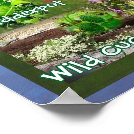 Wilde bloemen van Poster 19v2 Oklahoma (Hoek)