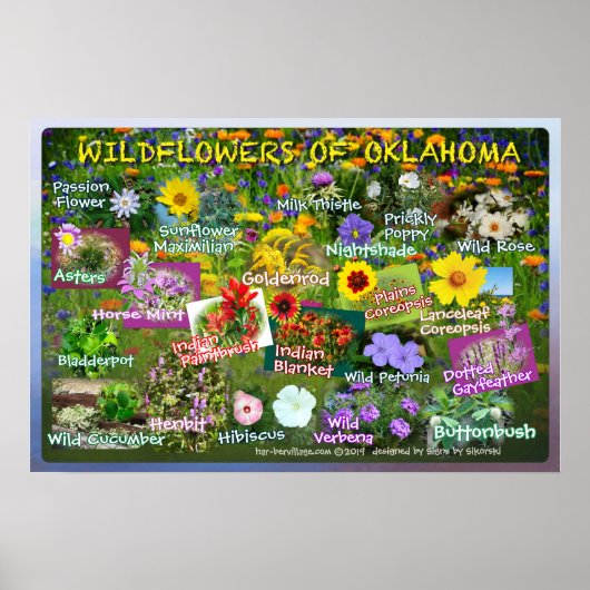 Wilde bloemen van Poster 19v2 Oklahoma (Voorkant)