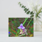Wilde bloemen van spinwort briefkaart (Staand voorkant)