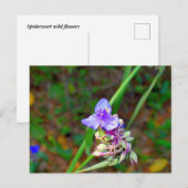 Wilde bloemen van spinwort briefkaart (Voorkant / Achterkant)