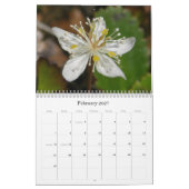 Wilde bloemen van Unalaska Island Kalender (Feb 2027)