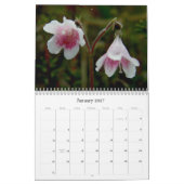 Wilde bloemen van Unalaska Island Kalender (Jan 2027)