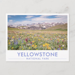 Wilde Bloemen van Yellowstone National Park Wenska Briefkaart