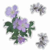 Wilde bloemen Wilde Geraniums en lenteverschoonhed Sticker (Voorkant)